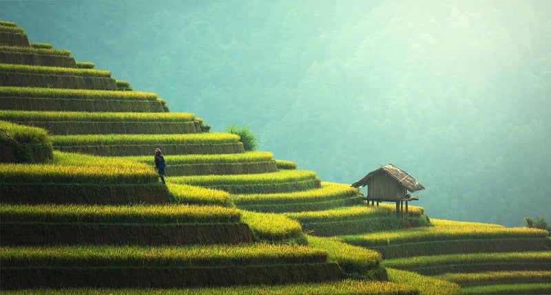 Sustainable Fashion Trend